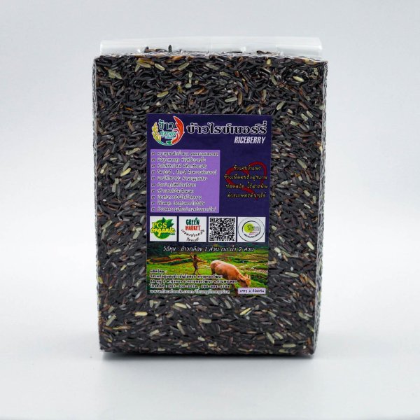 ข้าวไรซ์เบอรี่ ข้าวทุ่งทอง